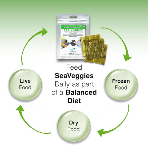 (2 Two Little Fishies Veggie Mag with Green Sea Veggies Bundle Items)
