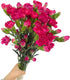 19 dark pink mini Carnations Hydroponic Flower Arrangement Gifts for home decoration birthdays anniversaries healing