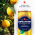 Pack 11.15 Oz (12 Pack) San Pellegrino Sparkling Fruit Beverages Variety - Fl Cans