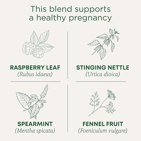 96 (6 Pack) Traditional Medicinals Tea, Organic Pregnancy Tea, Supports a Healthy Pregnancy, Raspberry Leaf, Kosher