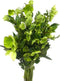 Next day delivery 5 Green Eranthis Fresh Cut Flowers Hydroponic Flower Arrangement