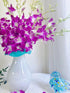 20 Stems purple orchids fresh cut flower gift birthday anniversary Valentine's Day flowers Dendrobium orchid