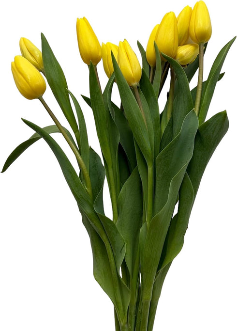 20 Next day delivery Yellow Tulips Fresh Cut Flowers Wheat Field Bouquet Gifts for home decoration birthdays friendship