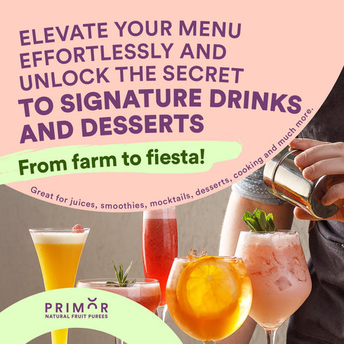 Countless Primor Fruit Purees | Made with Real Fruit | Applications: Juices, Smoothies, Cocktails, Desserts, and More