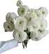 18 Fresh white ranunculus cut flowers, handpicked by a florist, perfect for bouquets, weddings, and home dcor, exuding