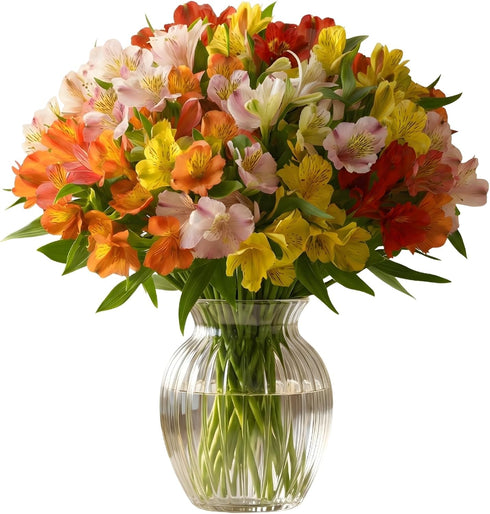 American Florals 24 Assorted Alstroemeria - Fresh Cut Flowers Bouquet with Green