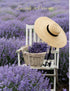 L'Ami Provencal 5.29oz Lavender French Hard Candy from