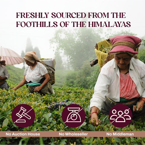 Organic Nepali Spiced Black Tea 30 Count (Pack of 2), Whole Loose Leaf Pyramid Tea Bags from the Himalayas,
