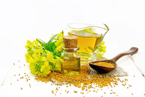 4oz (113g) Ramaroma Yellow Mustard Seeds Jar ~ All Natural | Vegan | Gluten Friendly | NON-GMO | Sarson |Organic Yellow