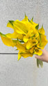 Cassiolina 10 Stems Fresh Calla Lily Flowers Elegant Long Stem Flower Bouquet for Vase Home Decor Wedding Party Floral