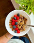 10oz 2 Pack) Granolachik Artisanal Granola Bark, Vegan, No Refined Sugars Maple Syrup Sweetened, (Chocolate Peanut