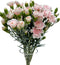 19 Stems Fresh Cut Mini Pink Spray Carnations 10 Stems Multiple Blooms