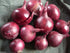 Red Burgundy Onion (2,000 Seed ) Organic Long Day Onion-plant Spring-fall !
