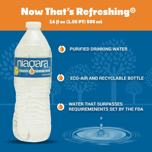 NIAGARA 16.9 Oz 24 Count Pack Purified Drinking Water, Fl Bottles