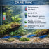 20 Blue Dream Supreme Gene Shrimps Live Freshwater Shrimp Aquarium Neocaridina, Live Arrival Guarantee