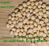 5 lbs., Organic Soybeans- nonGMO, Farmer Direct, Identity Preseved, Dry Soybeans for Tofu and Soymilk.