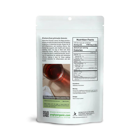 Generic 100% Kalanchoe Pinnata Leaves Tea Bags Pure Dried Leaves, Herbal Tea Bags for Daily Brewing