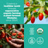 (8oz. 8 Navitas Organics Goji Berries For Smoothies, Trail Mix, Baked Goods, Oatmeal & More Vitamin A, Antioxidants
