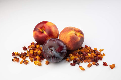 Summer 6 oz (pack 2) Traina Home Grown Fruitons California Sun Dried Blend Fruit Mix - Peaches, Nectarines and Plums