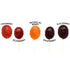 Charms Blow Pops, Bursting Berry Flavor, Multicolor, 48 Count (Pack of 1)