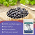 Bilberry (4 oz.) Bilberry Immunity, Wild Dried Fruits Tea - Superfood berries -Whortleberry (Vaccinium myrtillus)