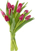 KaBloom - Bouquet of Fresh Red Tulips (Farm-Fresh, Cut-to-Order and Homegrown in