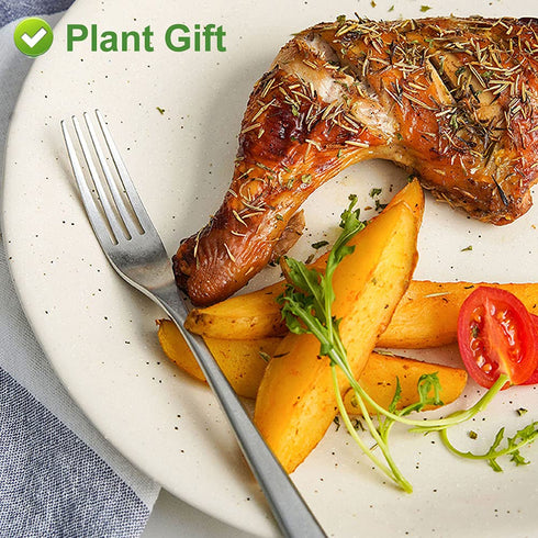 Plant Gift 50g/1.76oz- Rosemary Tea Premium Dried Rosemary Leaves - Non-GMO - Caffeine-free - Distinct Flavor