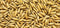 Malted Oats (Whole/Not Milled) 10 lbs