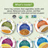 Pack Pack (6 Pack) Food Earth Ready to Eat Indian Meals Six Flavor Variety Organic, Microwavable, Premade & Quick Lunch