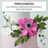 3 Count Global Sugar Art Freesia Sugar Cake Flowers Filler Spray, White, by Chef Alan Tetreault