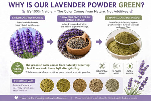 WOTIHA (8.8 oz 250g) 100% Culinary Lavender Powder / - Natural Ultra-Fine Lavender Flower Powder - Edible Grade
