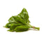 Fresh Produce PRODUCE Organic Basil, 0.75 OZ