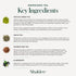 Packets 28 Shaklee Energizing Tea Pomegranate Flavor - Antioxidant-Rich Blend of Green, White, and Red Teas for Gentle