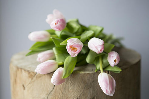 Blooms2Door 10 PRIME NEXT DAY DELIVERY - Fall Collection - Bouquet of Pink Tulips (Farm-Fresh) with Vase.Gift