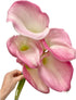 10 Next-day delivery Calla Lilies Fresh Cut Flowers Bouquet Prime Delivery Gifts for Birthday Anniversary Friendship