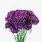 Collection by Tiffany Fresh Flowers Carnation for Floral Arrangement, Birthday, Anniversary, Mother's Day & Valentine's