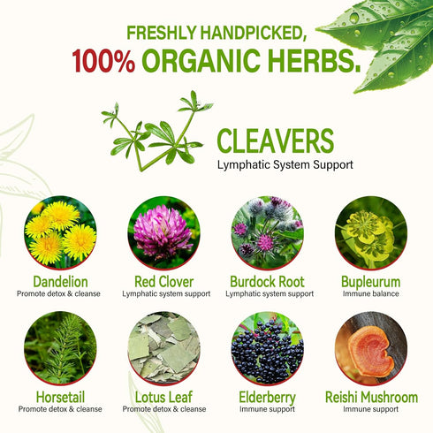 HerbOLITHIC 9-in-1 Immune Free-30 Cleavers Herb Lymphatic Drainage Tea Bag, Herbal Tea for Detox Cleanse & Support