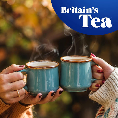 80 250 (Pack 6, 480 Tetley Decaf Teabags G Of Total Teabags)
