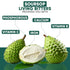8 Oz Herboganic Soursop Living Bittersfor overall Health and wellness |
