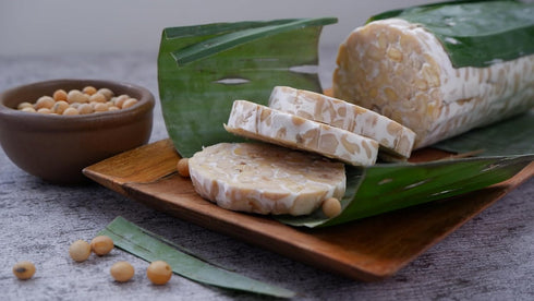0.7oz. Tempeh Starter Culture with Rhizopus Spores - Make Delicious Tempeh at Home, High Protein Rhizopus Tempeh