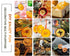 Duwen Slices,10.58oz 300g, Dehydrated Orange / Dried Orange Slices Sugar Free Natural Fruit
