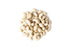 2 Food to Live Organic Raw Cashews, Pounds Non-GMO, Whole, Large, Premium Fancy Nuts, Unsalted, Unroasted, Kosher