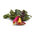 Fresh Produce 1 Organic Rainbow Chard, Bunch