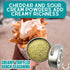 1.5 oz #602 Creamy Truffled Ranch Seasoning | All Natural | Non GMO | Gourmet Spice Mix | Artisanal Rub | | Small Batch