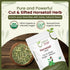 Horsetail (Equisetum 100% Albania (1/4LBS 4Oz.) Organic Way Herb Cut & Sifted arvense) - Herbal Tea | European