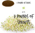 4 Oz Certified Organic Dried Green Lentil Sprouting Seed: - Handy Pantry Dry Lentils for Planting Garden Seeds, Soup