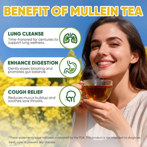 TEAWOO 60 100% Mullein Leaf Tea Bags, From Natural Mullein Leaves for Lungs Health and Respiratory Support