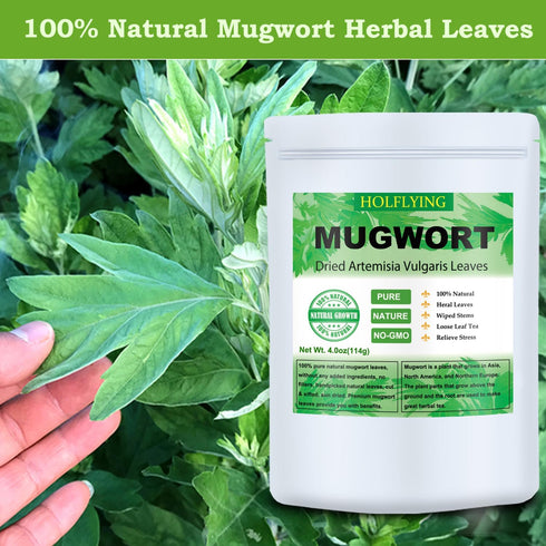 HOLFLYING 7.0oz(200g), 100% Dried Mugwort Leaves, Natural Artemisia Vulgaris Herbal Loose Leaves, Natural Mugwort Loose