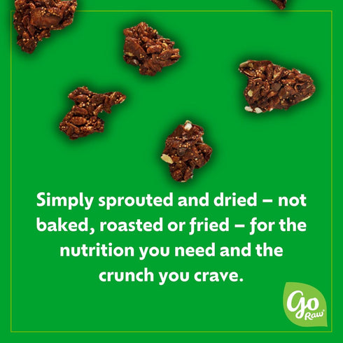 8oz Go Raw Dark Chocolate Snacking Granola, Pouch