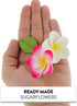 24 Count Count Global Sugar Art Tropical Frangipani Plumeria Edible Sugar Flower Blossoms, Wedding Cake & Cupcake